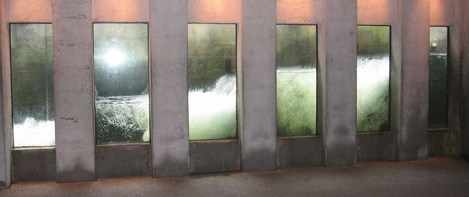 new product underwater windows