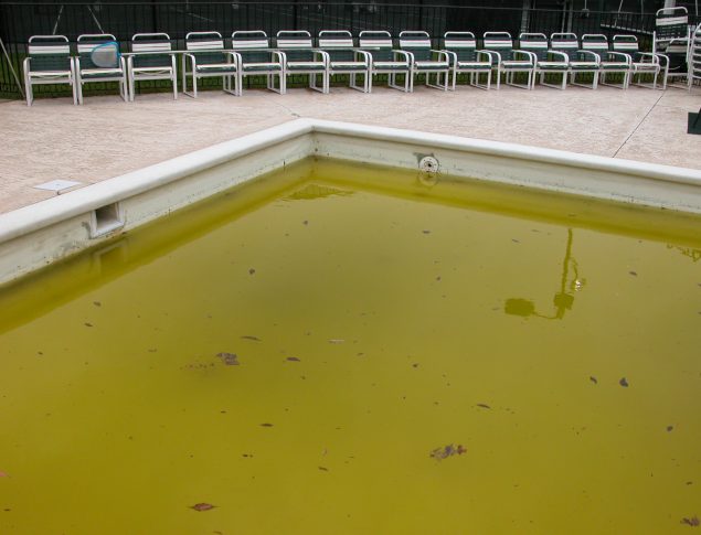 swimming pool water quality